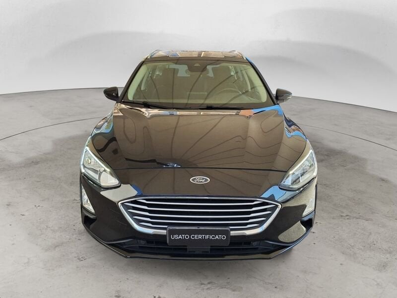 Ford Focus  1.5 EcoBlue 120 CV Automatico SW Business Co-Pilot