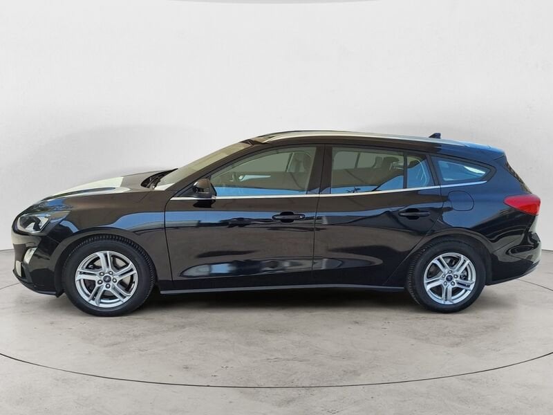 Ford Focus  1.5 EcoBlue 120 CV Automatico SW Business Co-Pilot