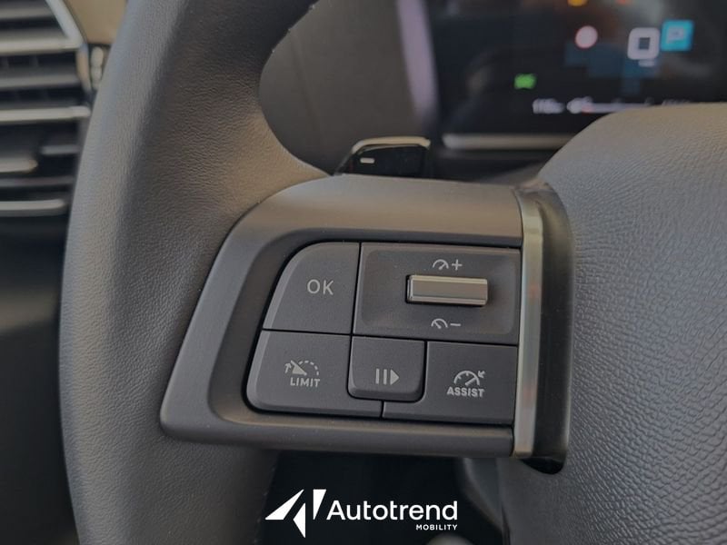 Citroen C4  1.5 BlueHDi 130 CV Automatica EAT8 NAVI LED Business S&S