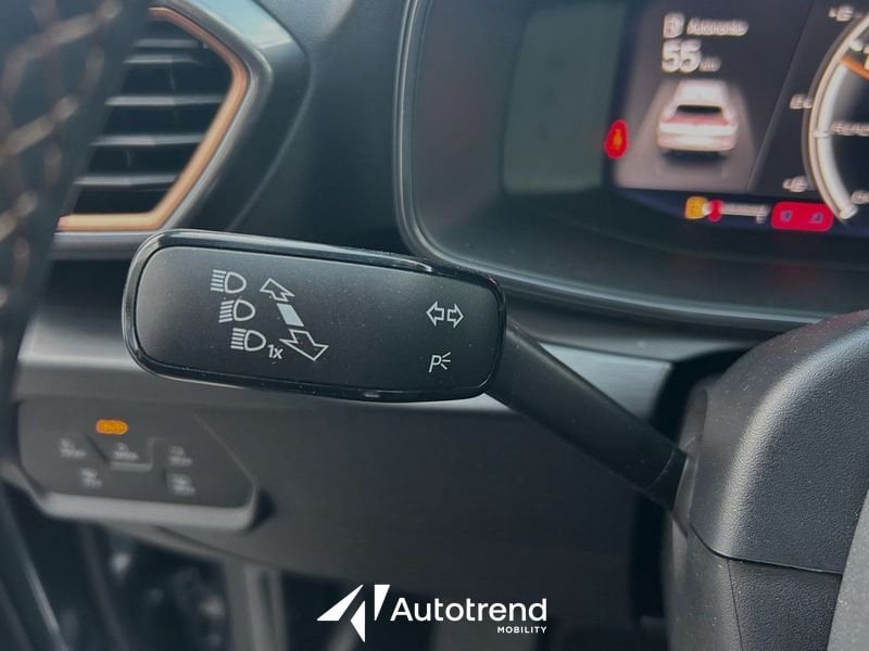 CUPRA Formentor  2.0 TDI 150 CV 4Drive DSG Automatica