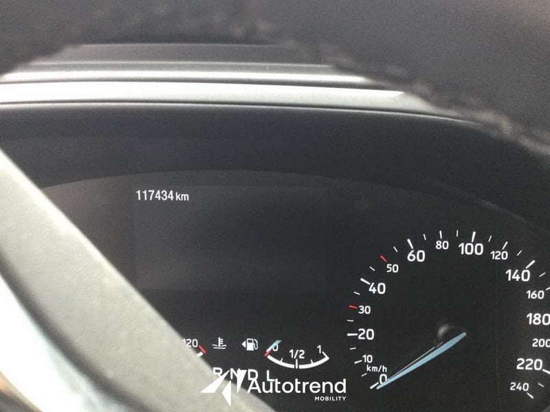 Ford Focus  1.5 Ecoblue 120 CV Automatico Business Co-Pilot