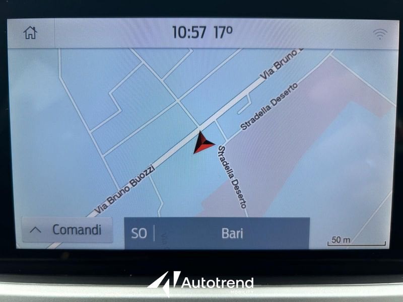 Ford Focus  1.5 EcoBlue 120 CV Automatico SW Business Co-Pilot