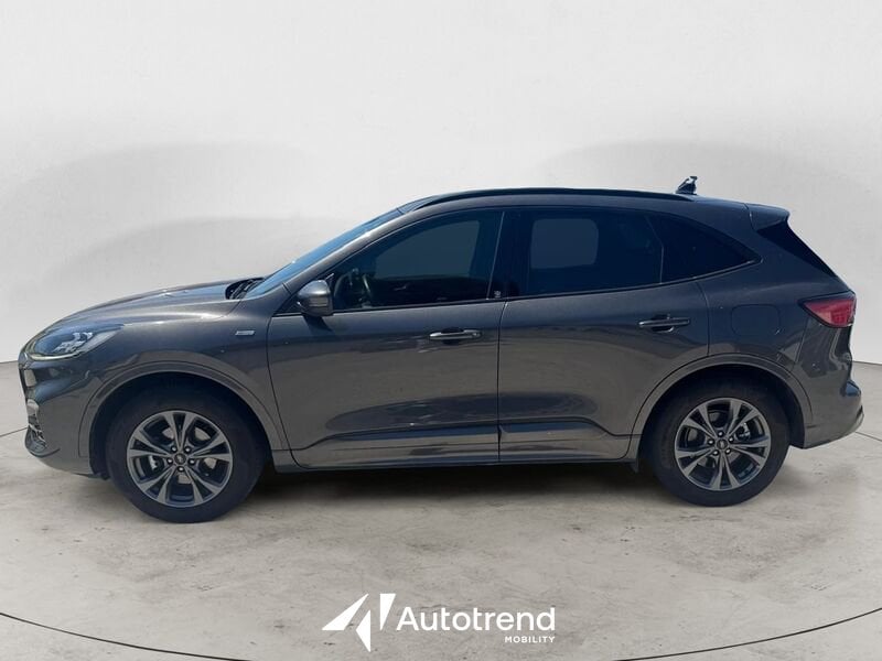 Ford Kuga  2.0 EcoBlue 150 CV AWD Automatica ST-Line