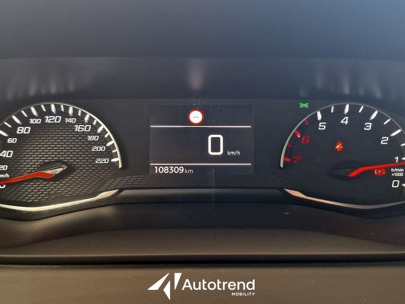 Peugeot 208  BlueHDi 100 CV Active Pack S&S 5 Porte