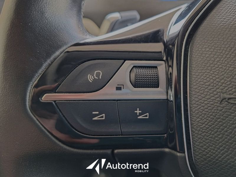Peugeot 3008  BlueHDi 130 CV Automatica EAT8 NAVI Allure S&S